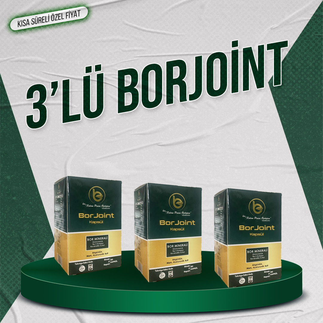 borjoint-set-yeni.jpg (371 KB)